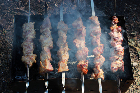 cooking meat shish kebab in the open air on the outskirts of nature to the forest. Russia, summer.の写真素材