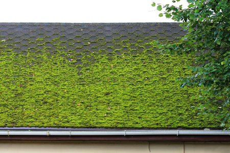 brown flexible tile on the roof of the house, beautifully overgrown with green moss. Soft roof, roof tiles. Flexible shingles. Roof tiling texture. Flexible, soft, bituminous, composite.の写真素材