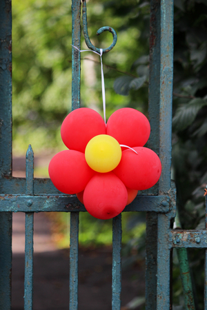 red flower made from a balloon hanging on a fenceの写真素材
