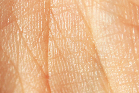 Macro skin of the back of the human hand with line of lifeの写真素材