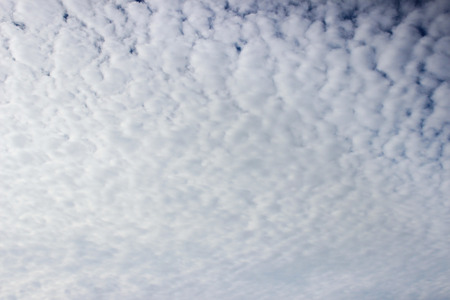Light white cirrus clouds covering the large surface of the sky.の写真素材