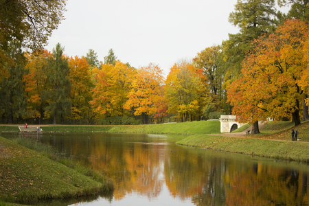 Autumn Gatchina Park with yellow foliage on trees and Karpin Pond, in which they are reflected.の写真素材