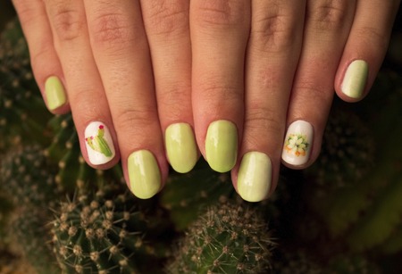 Classic cut manicure with gel polish, gradient and stylized stickers with cacti. Stylish trendy female manicure. Pot with green cactus plant near beautiful woman's hands. Art Manicure. Multi-colored Nail Polish. Beauty hands. Stylish Colorful Nails.の写真素材