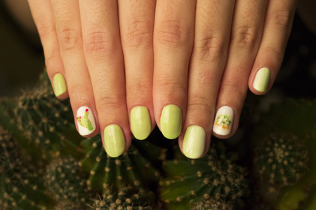 Classic cut manicure with gel polish, gradient and stylized stickers with cacti. Stylish trendy female manicure. Pot with green cactus plant near beautiful woman's hands. Art Manicure. Multi-colored Nail Polish. Beauty hands. Stylish Colorful Nails.の写真素材