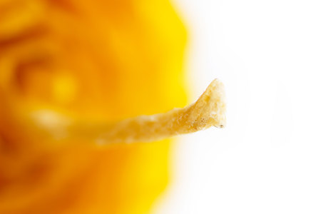 the foundation from which the eco-friendly candle is twisted. thin corrugated plate of wax, which is put in a honeycomb. macro photographyの写真素材