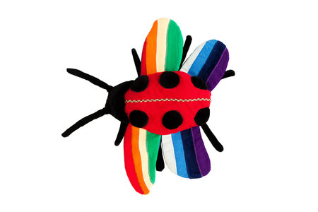 Ladybug sewn by hand based on children's pattern. rainbow wings, isolated on white backgroundの写真素材