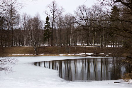 White Lake in Gatchina Park in the spring. Reflection of trees in the water of the ice-hole where the ice melted.の写真素材