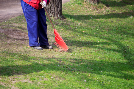 woman sweeps lawns in the park. seasonal work. Spring. reportage shooting.の写真素材