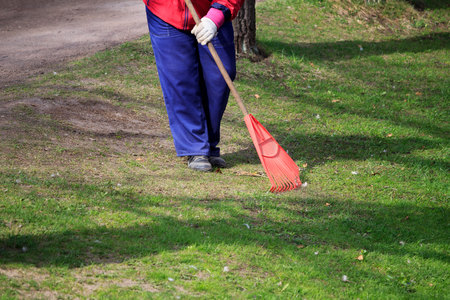 woman sweeps lawns in the park. seasonal work. Spring. reportage shooting.の写真素材