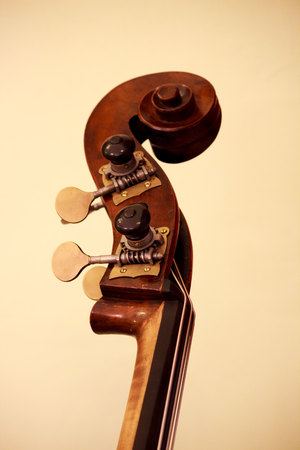 The contrabass is the second largest in size and the second lowest in sound of the widely used stringed musical instrumentsの写真素材