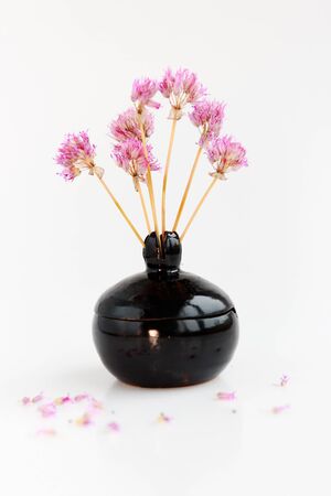 black clay pomegranate on a white background. original vase in the form of a pomegranate. dried flowering onions with purple flowers.の写真素材