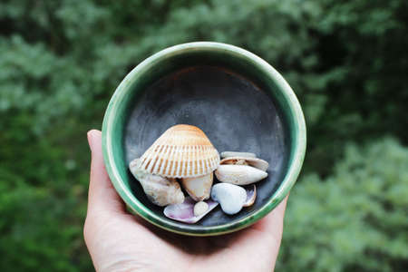 seashells in handmade ceramic plate. memories of the sea and travel.の写真素材