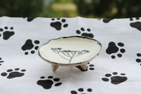 small ceramic plate with a plant print. made from a layer of clay. handmade.の写真素材