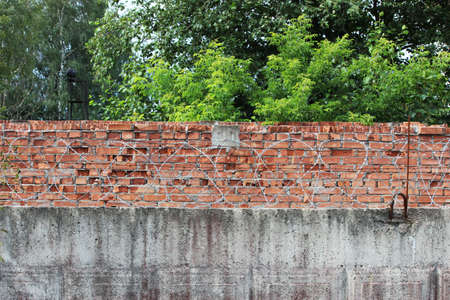 barbed wire on a brick wall background. Prison and freedom concept.の写真素材