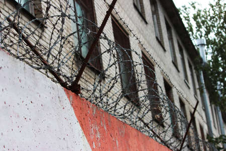 barbed wire on a concrete wall. Prison and freedom concept.の写真素材