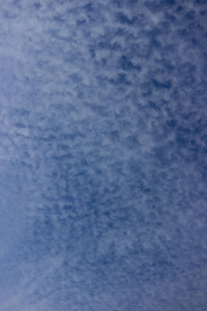 blue sky with cirrus clouds. evenly distributed white clouds over a blue and light blue backgroundの写真素材