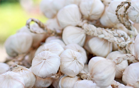 Garlicの写真素材