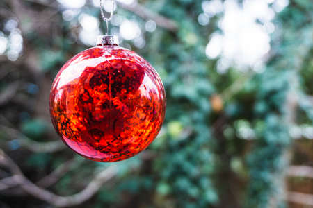 red Christmas ball made of glass in front of green conifersの写真素材