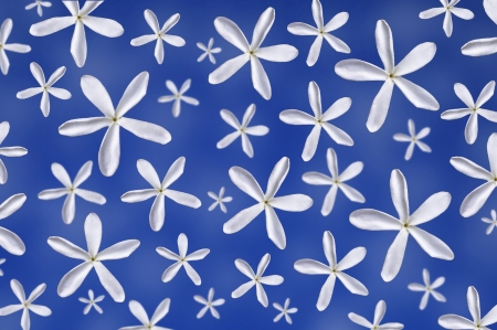 falling flowersの写真素材