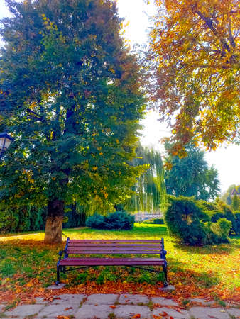 beautiful autumn parkの写真素材