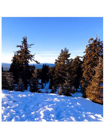 Winter in the mountains.の写真素材