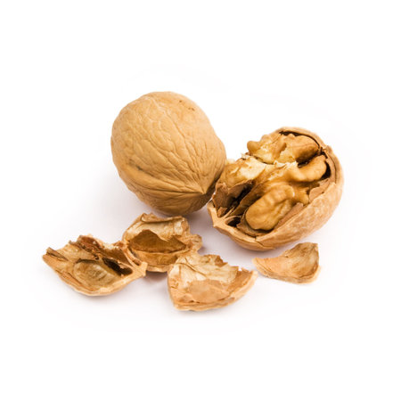 Walnuts in closeup in a white background