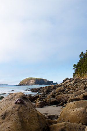 beautiful desolated beach in Oregon, mid summerの写真素材