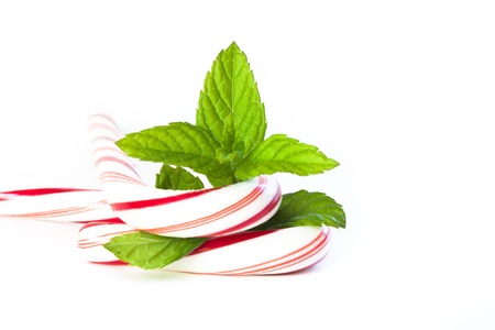 mint and candy canes arranged for hiliday decorationsの写真素材