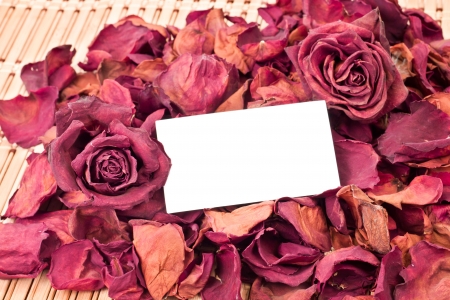 dried roses as a background with card for text in the middleの写真素材