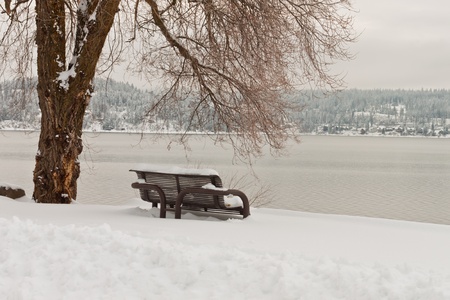 bench covered in snow in winter in idaho with a beautiful view of the lakeの写真素材