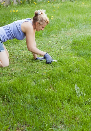 meticulous lawn mowing with scissors in  a large fieldの写真素材