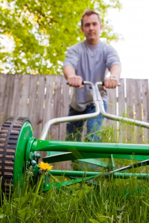 dandelion flower in focus with caucasian male out of focus with a push mower cutting the grassの写真素材