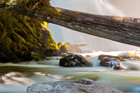 Early summer morning in snow creek falls Idaho