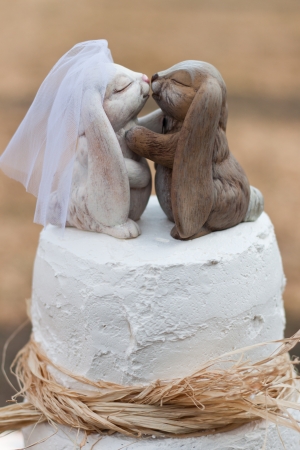 wedding cake decorated with hand carved  rabits kissing on top  kissing on top set outdoorsの写真素材