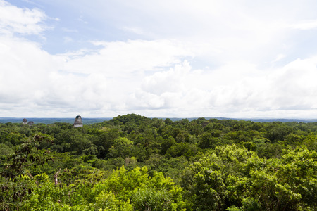 Ancient Mayan ruins in Tikal Guatemala November 2013の写真素材