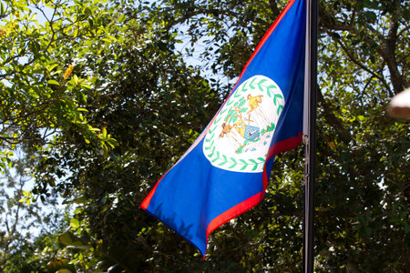 close up of the national flag of Belize waving with trees in the background