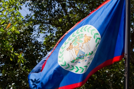 close up of the national flag of Belize waving with trees in the backgroundの写真素材