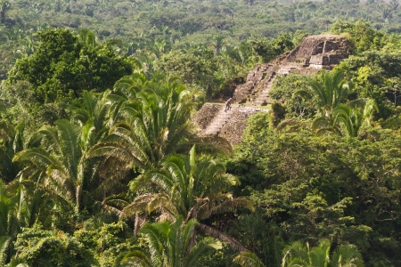 aerial view of Lamanai maya ruins in the tropical jungle of Belizeの写真素材
