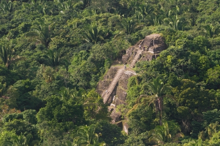 aerial view of Lamanai maya ruins in the tropical jungle of Belizeの写真素材