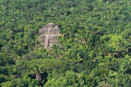 aerial view of Lamanai maya ruins in the tropical jungle of Belizeの写真素材