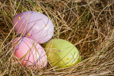 closeup of pastel color easter eggs on a dried grass background