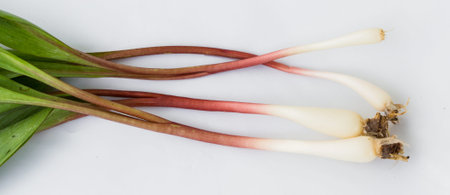 organic ramps or wild leeks on a white background