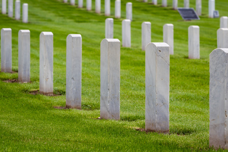 rows of tombstones in a military graveyard with bright green spring grassのeditorial素材