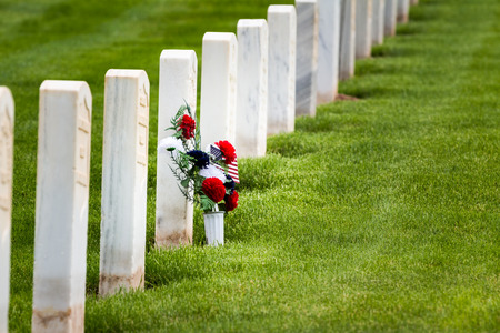 flowers in rows of tombstones in a military graveyardのeditorial素材