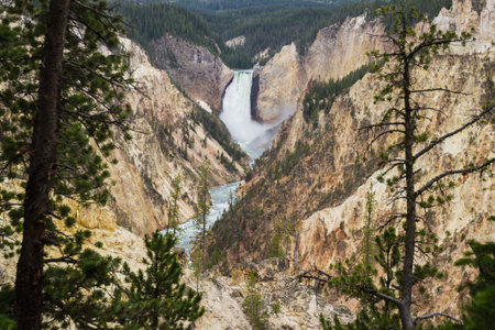 beautiful view of the grand canyon of yellowstoneの写真素材