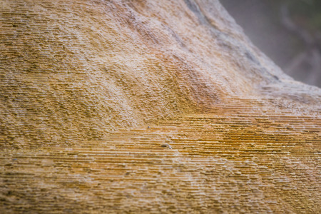 closeup of the mineral deposits in yellowstone national park with fresh hot water running down themの写真素材