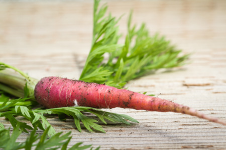 home grown red carrot with the greens  on a wooden tableの写真素材