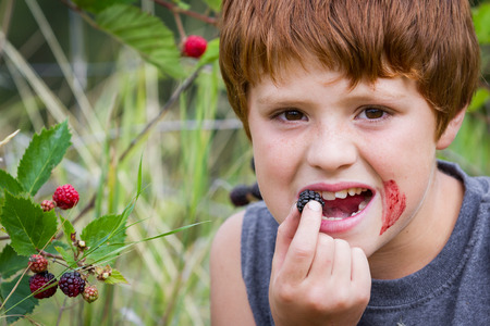 portrait of a young boy eating fresh blackberries with a smudged facedの写真素材