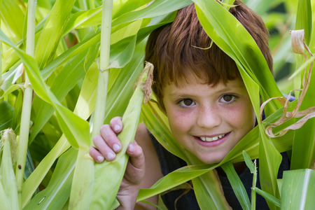 close up of a young boy in his home garden holding a corn cobの写真素材