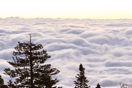 beautiful peaceful view of the sunrise above the clouds on top of The Sandia mountains in New Mexicoの写真素材